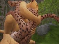 Cheetah and Lion King animal sex porn video